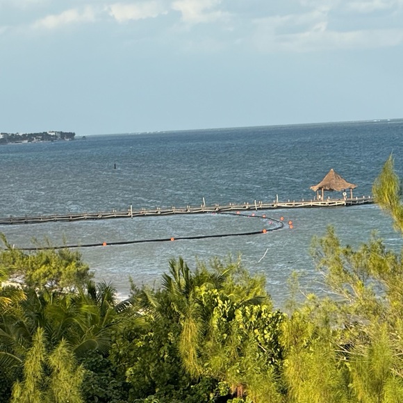 The tray is loaded🎁
Un/Listed Items!
Shop till You Drop! - Picture 4 of 14